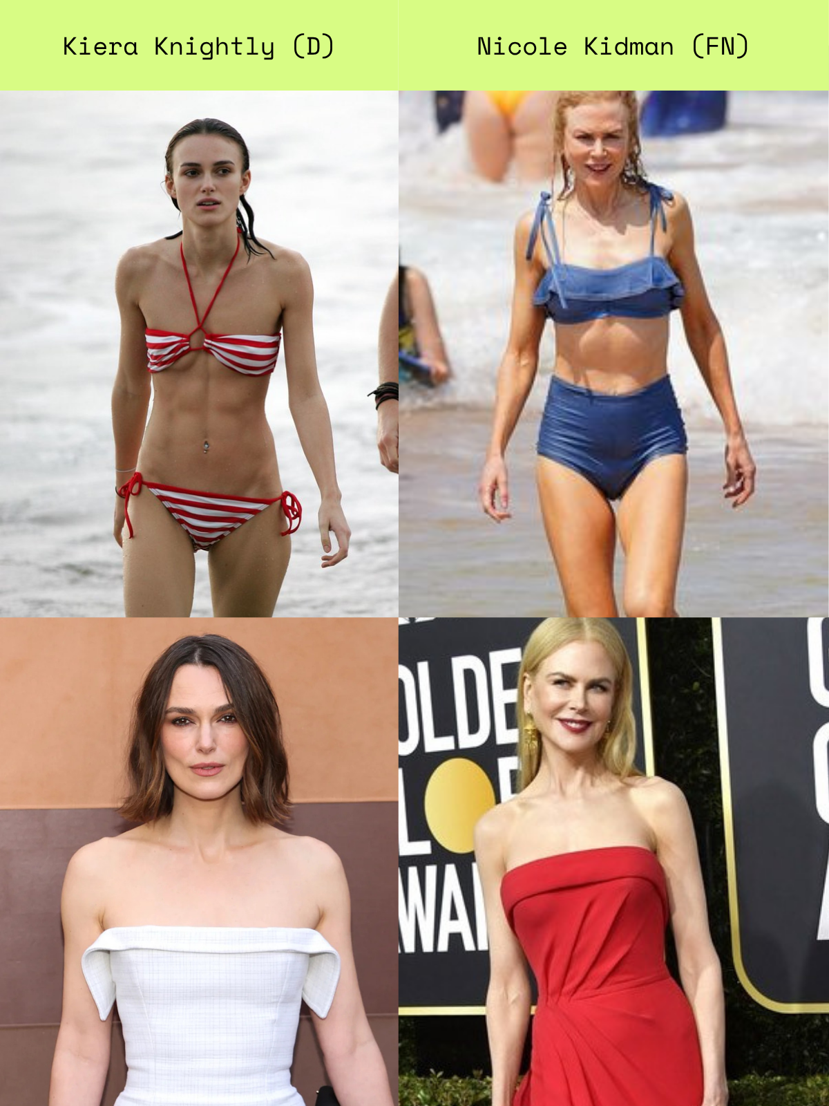 Celebrity comparison for D / FN Kibbe type pairing