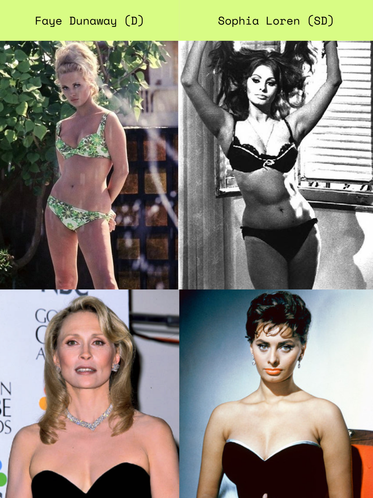 Celebrity comparison for D / SD Kibbe type pairing