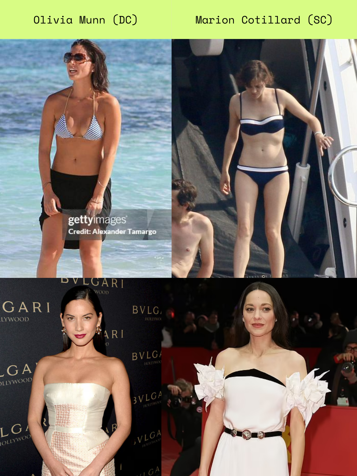 Celebrity comparison for DC / SC Kibbe type pairing