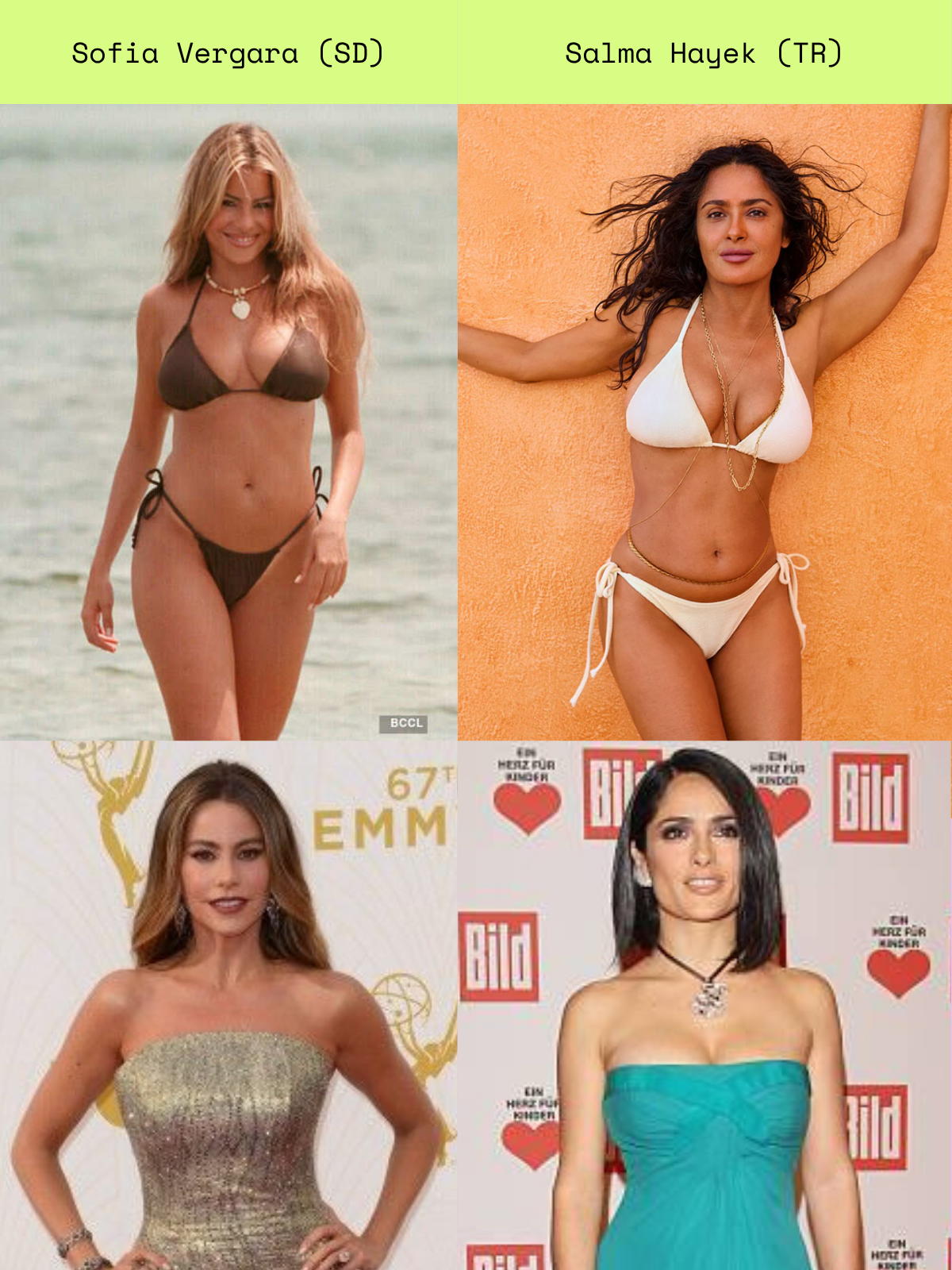 Celebrity comparison for Short SD / TR Kibbe type pairing