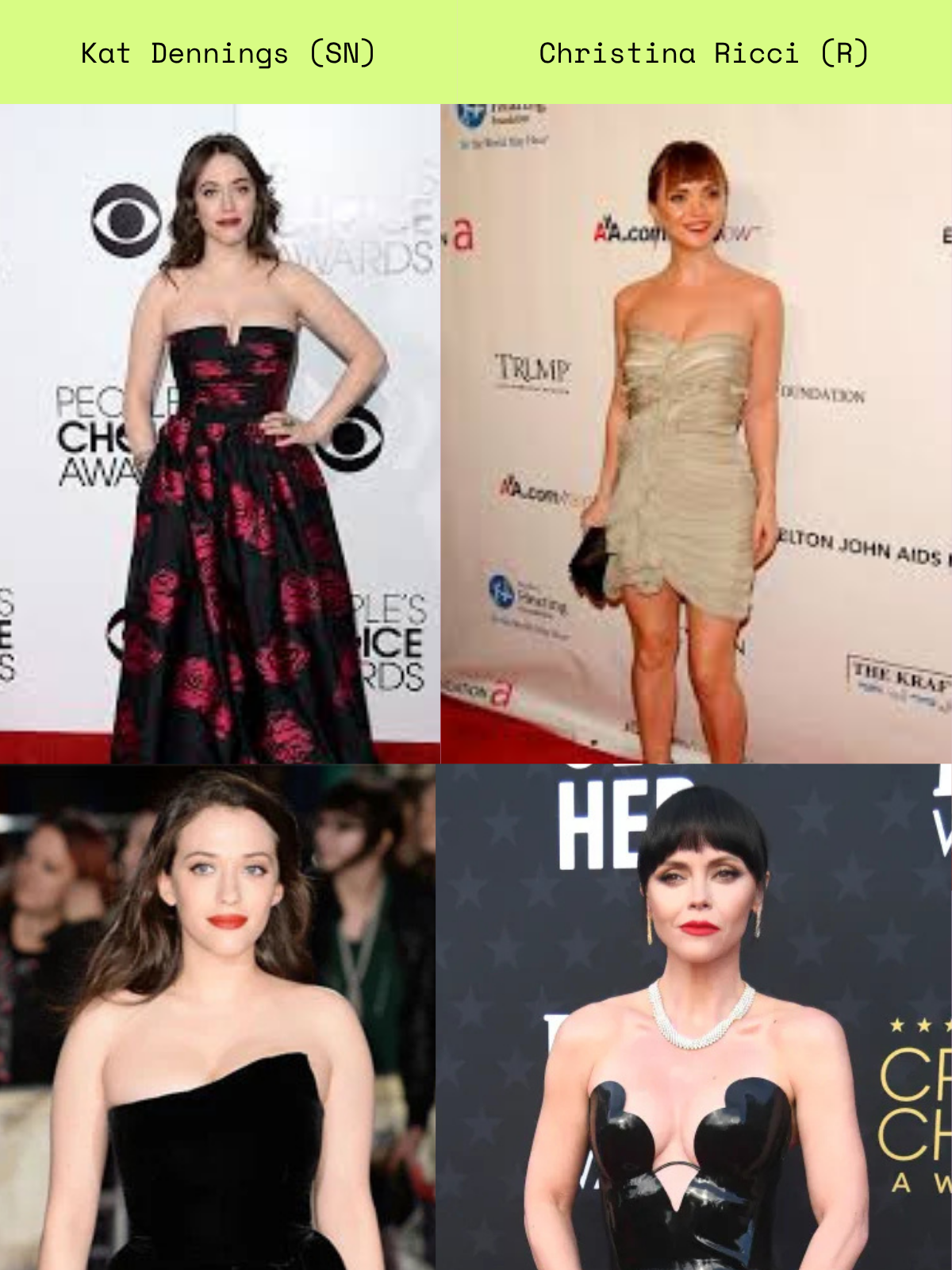 Celebrity comparison for SN / R Kibbe type pairing