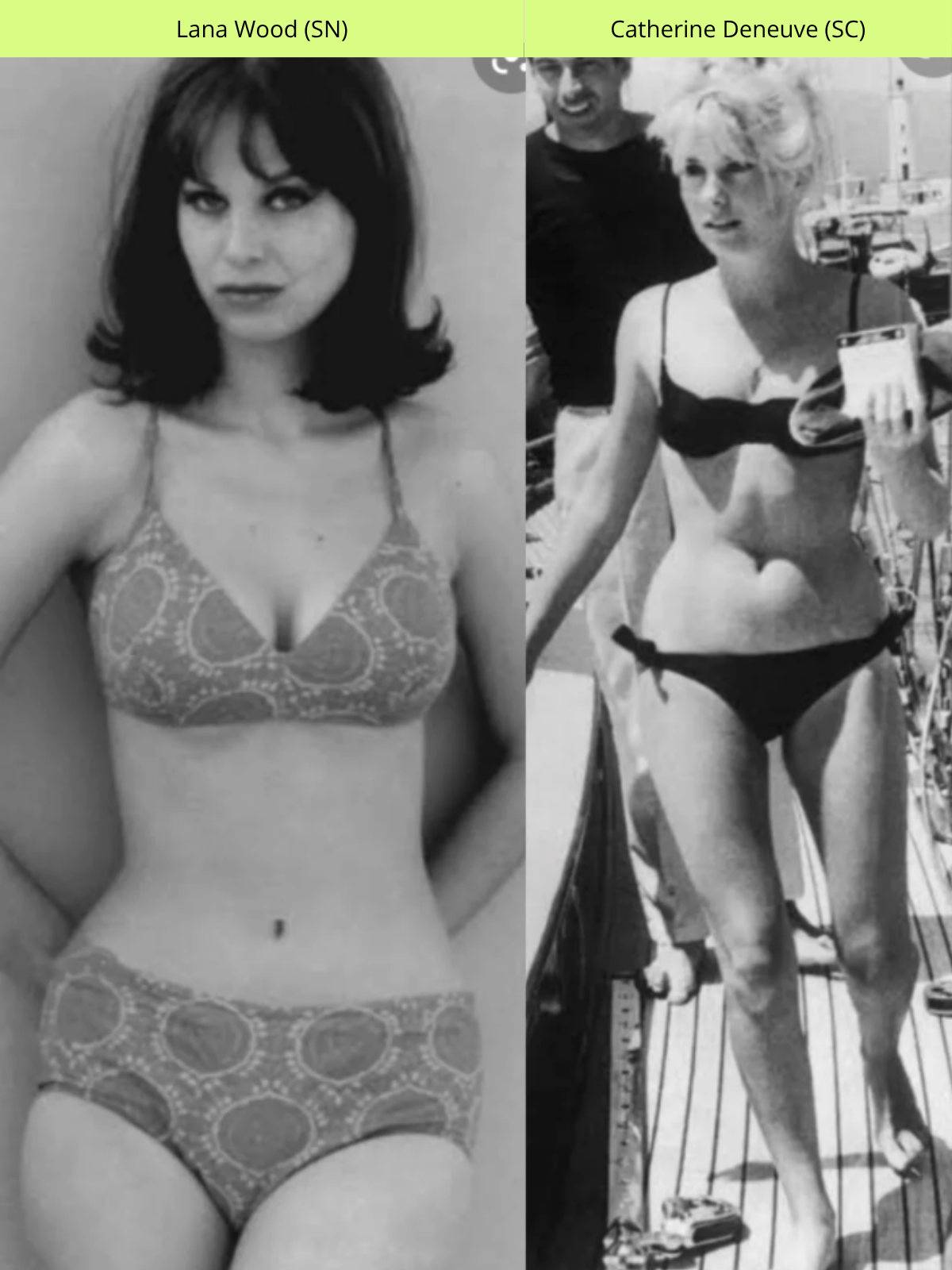 Celebrity comparison for SN / SC Kibbe type pairing