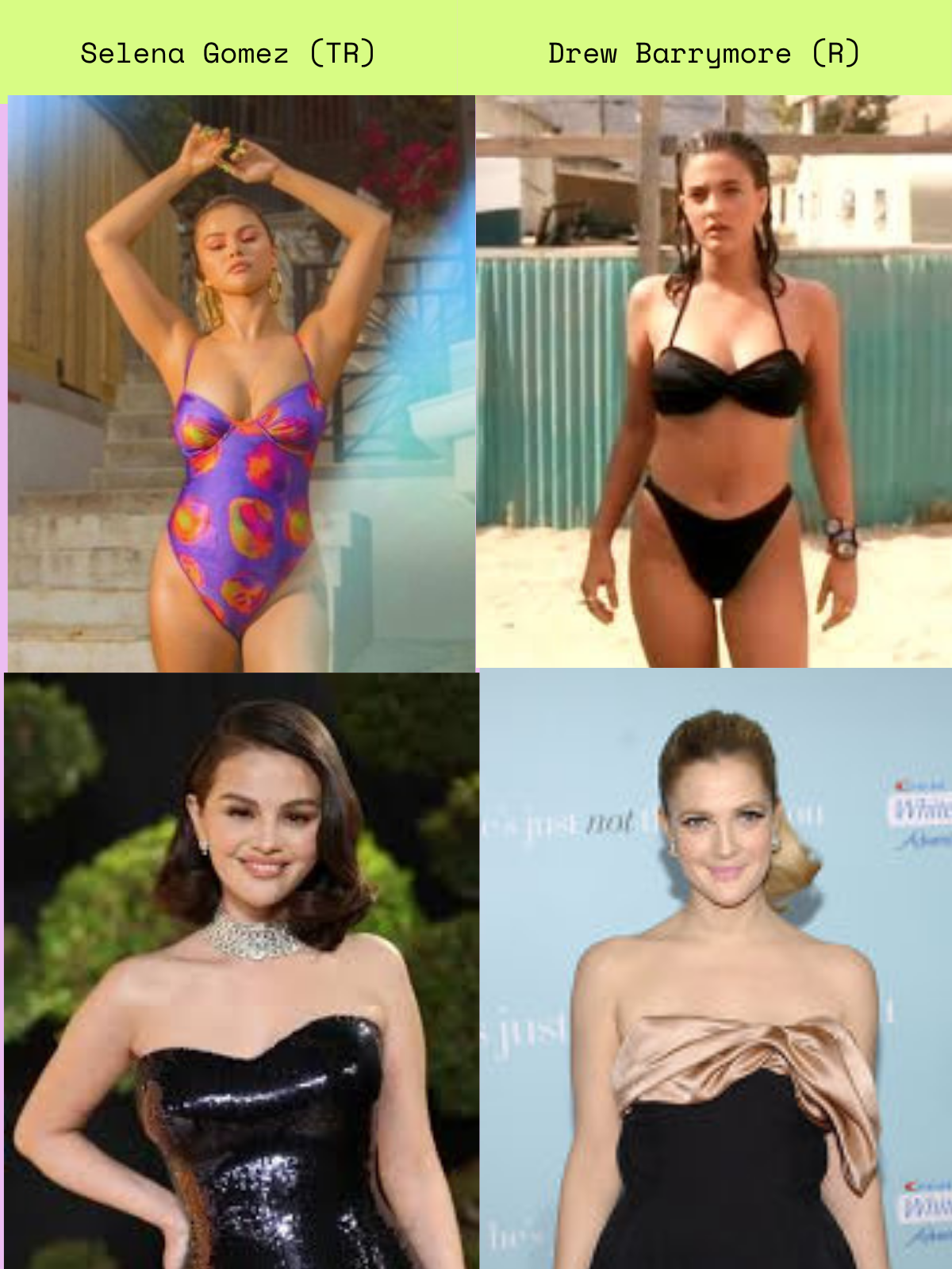 Celebrity comparison for TR / R Kibbe type pairing